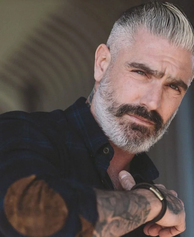 Barba grisalha cheia — barba grisalha, exemplo 4