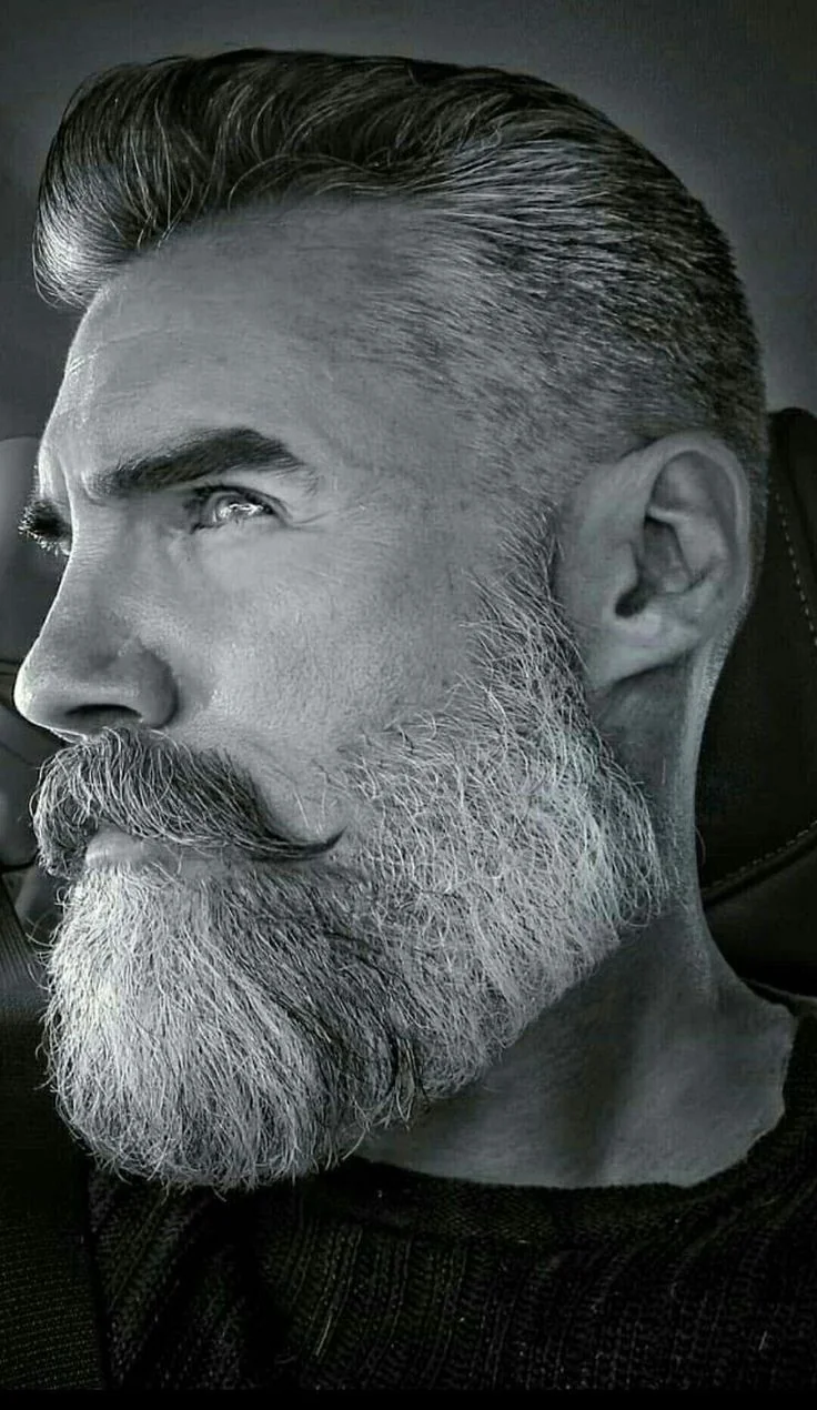 Barba grisalha cheia — barba grisalha, exemplo 7
