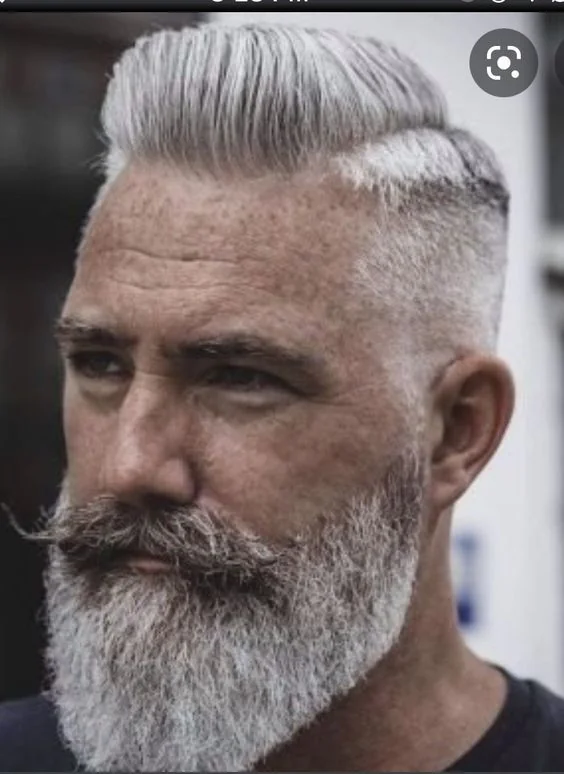 Cavanhaque grisalho — barba grisalha, exemplo 3